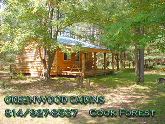 Greenwood Cabins - Birdie's Nest