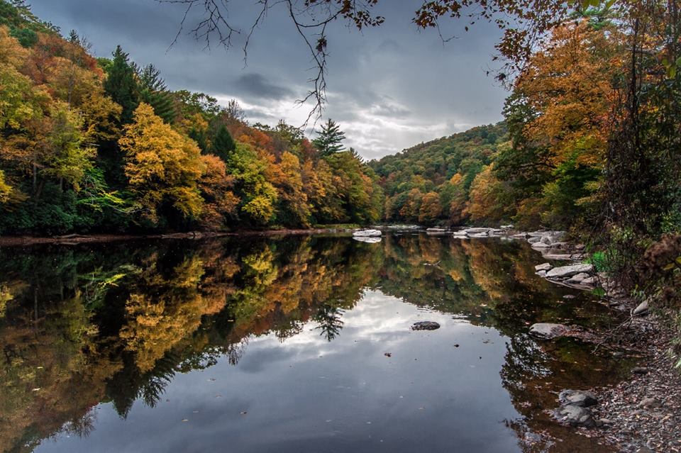 Cook Forest State Park – CookForest.com