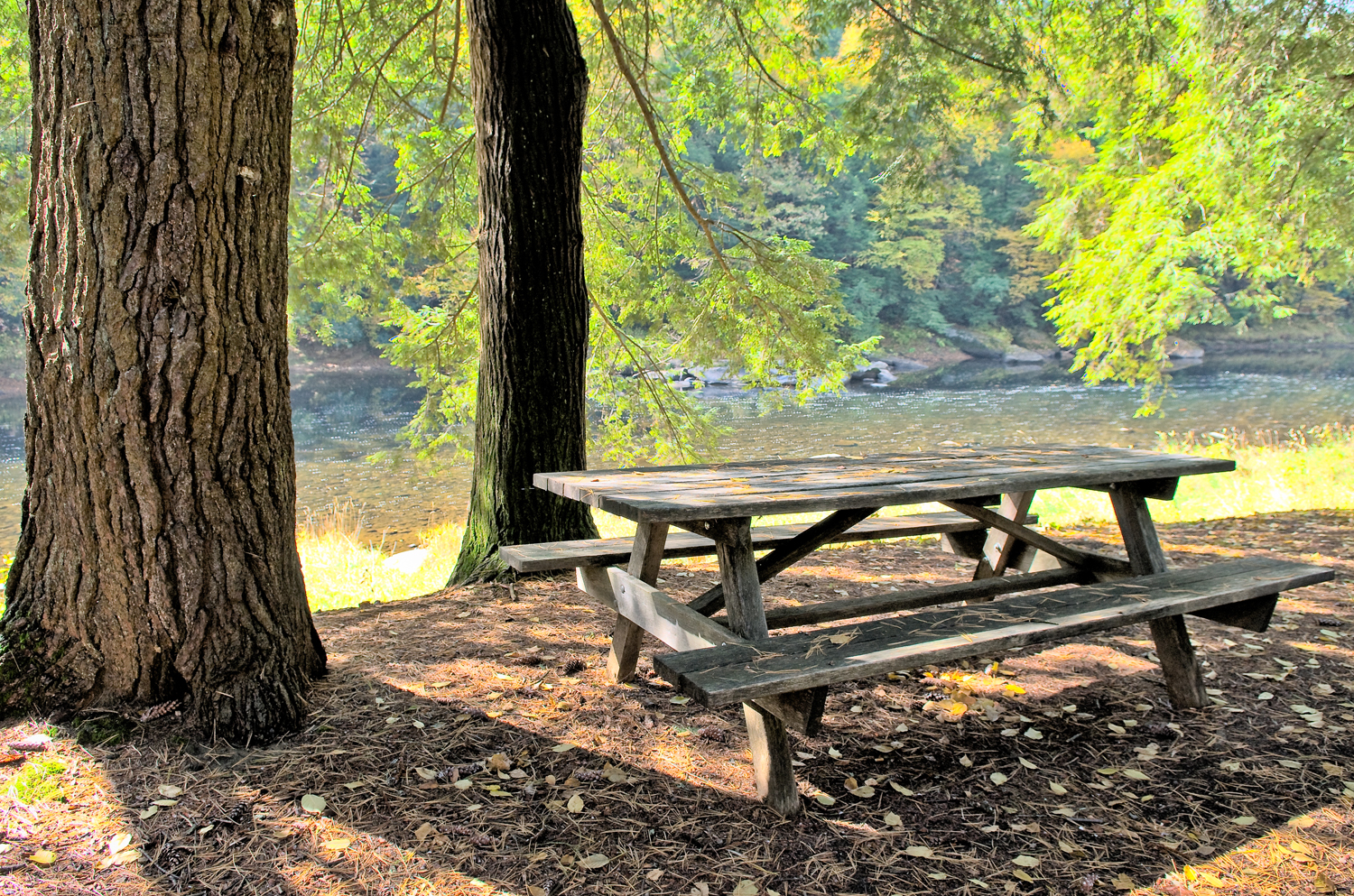 Campground Rules Regulations More Info CookForest
