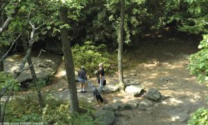 Hiking in Cook Forest State Park – CookForest.com