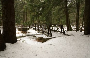 blog-grid-1-410x308