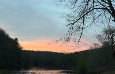 blog-grid-1-410x308