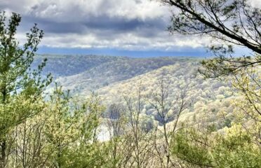 blog-grid-1-410x308