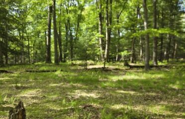 blog-grid-1-410x308