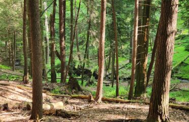 blog-grid-1-410x308