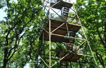 blog-grid-1-410x308